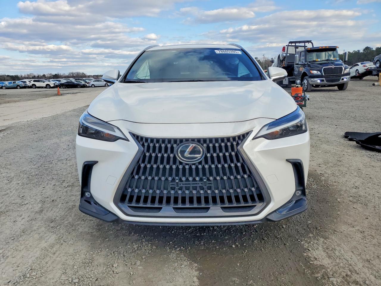 2024 LEXUS NX 350 BASE photo 13