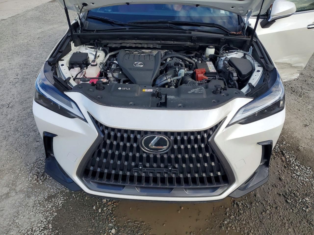 2024 LEXUS NX 350 BASE photo 34