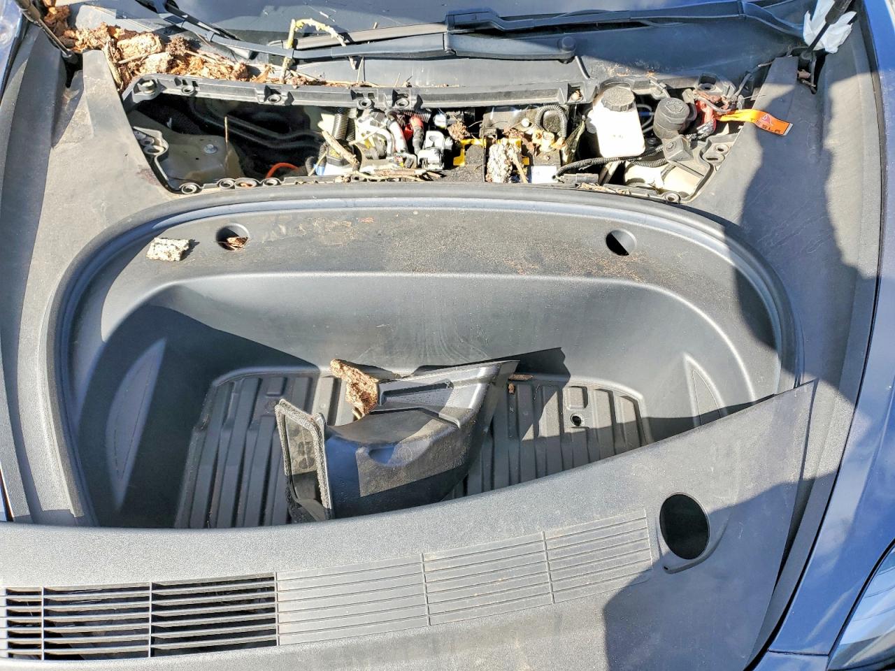 2021 TESLA MODEL 3 photo 21