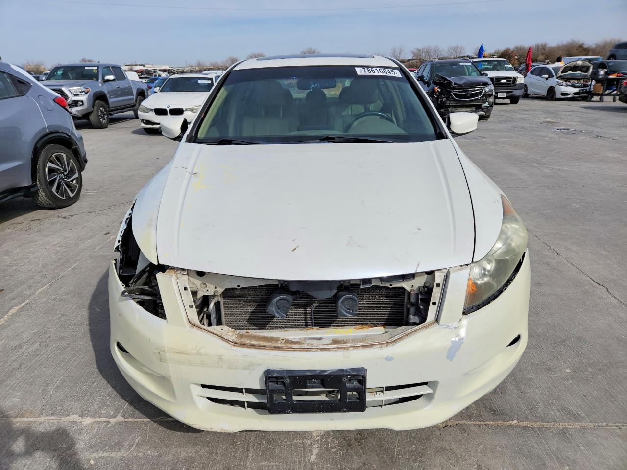 2009 HONDA ACCORD EXL photo 9