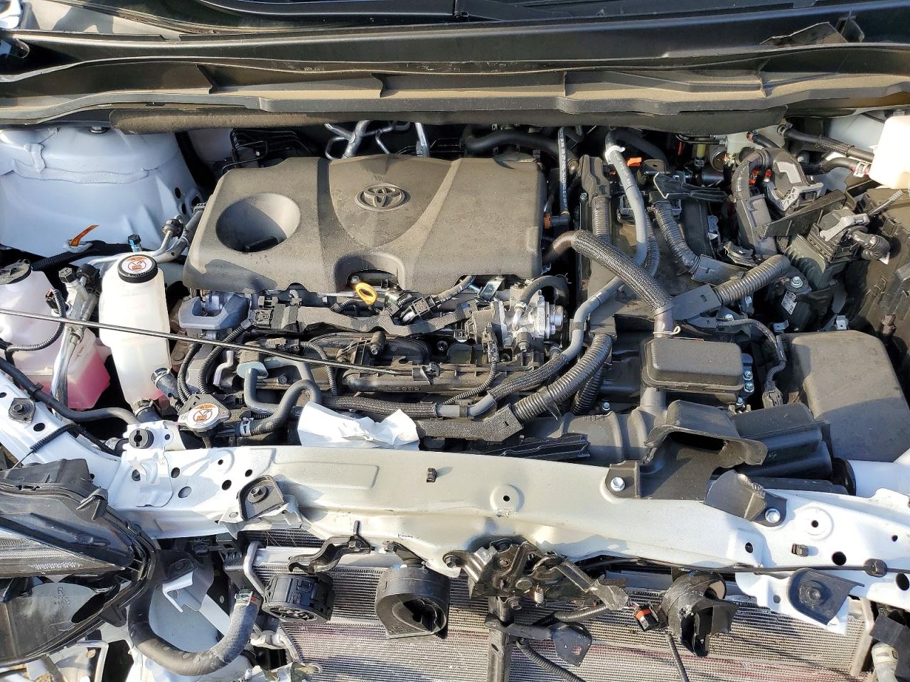 2025 TOYOTA SIENNA XLE photo 12