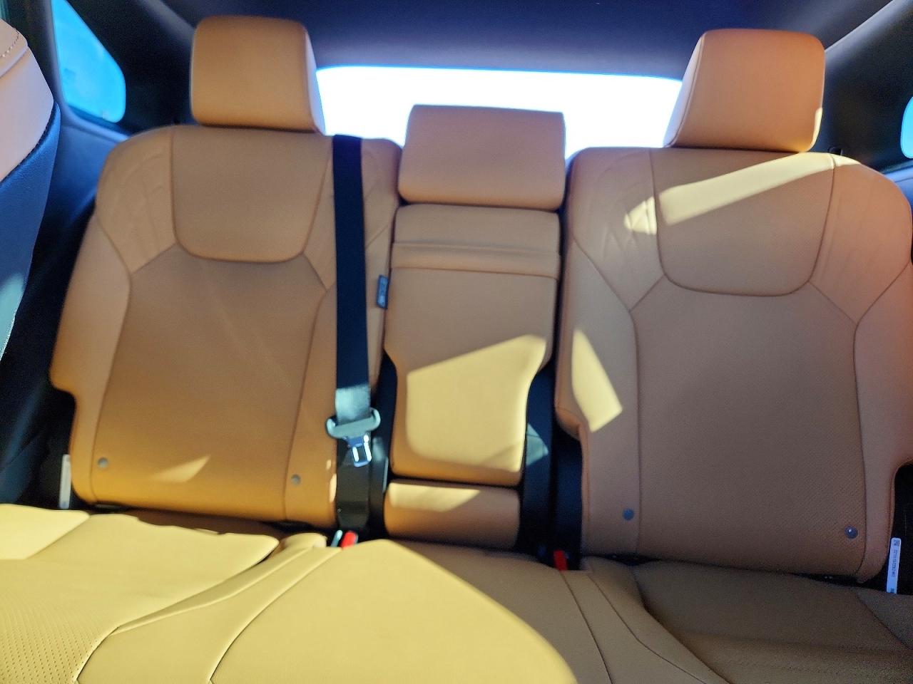 2025 LEXUS RX 350H BASE photo 10