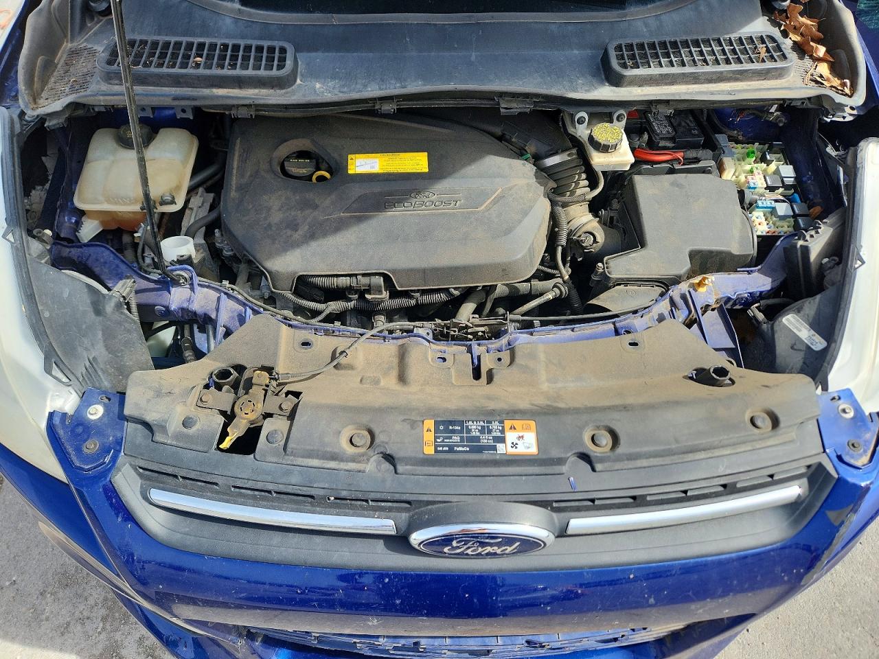 2016 FORD ESCAPE SE photo 21
