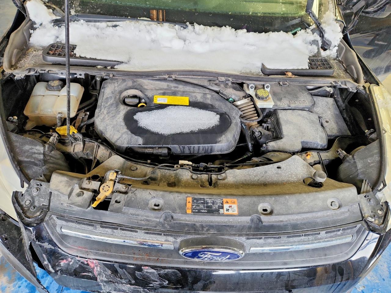 2016 FORD ESCAPE SE photo 12