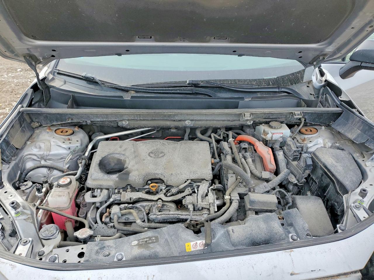2019 TOYOTA RAV4 LE photo 12