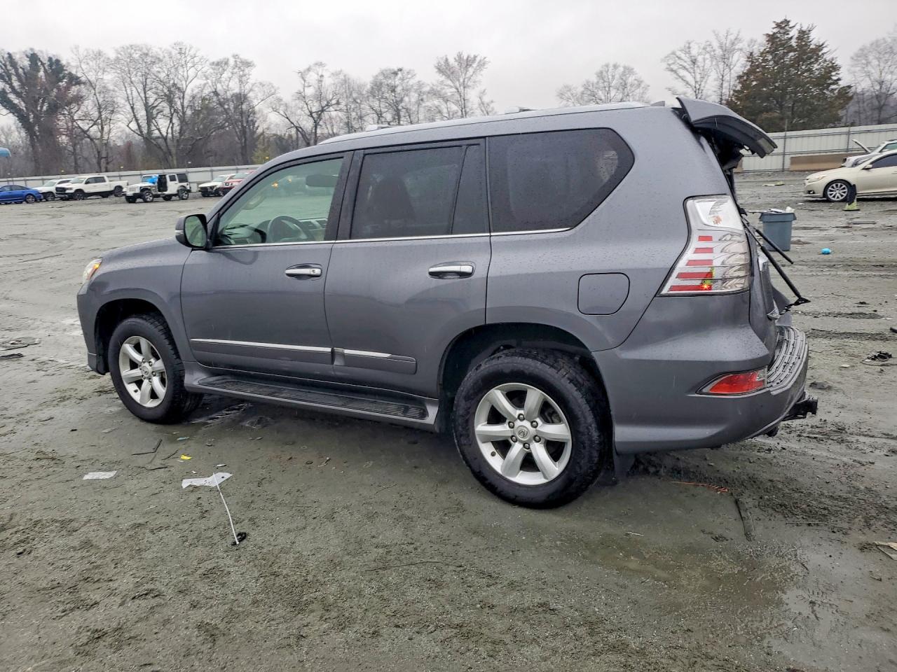 2019 LEXUS GX 460 photo 2