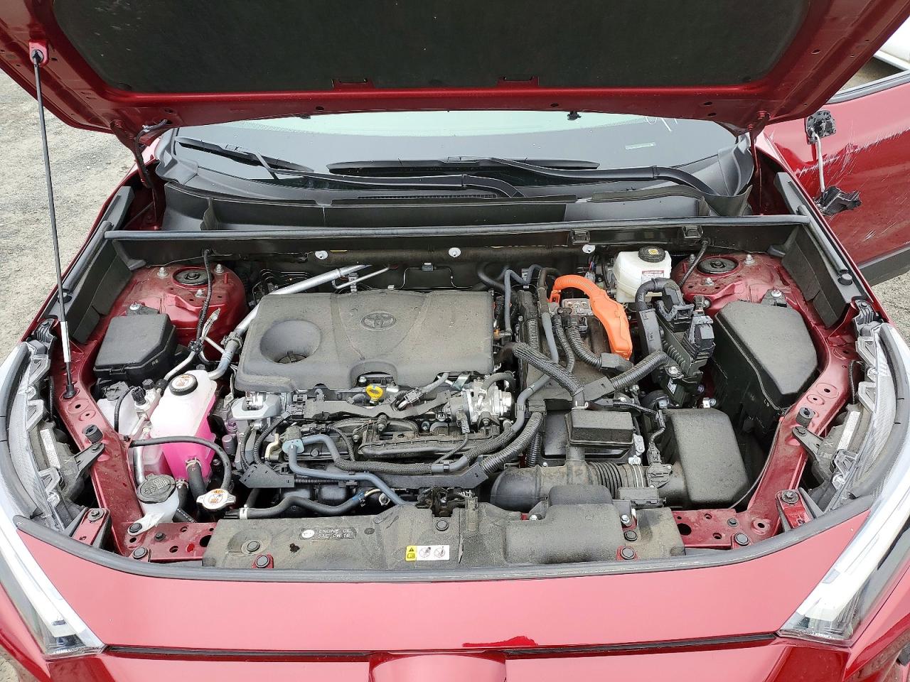 2024 TOYOTA RAV4 XLE photo 12
