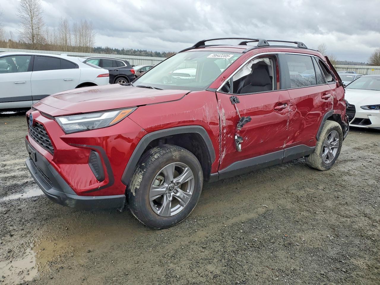 2024 TOYOTA RAV4