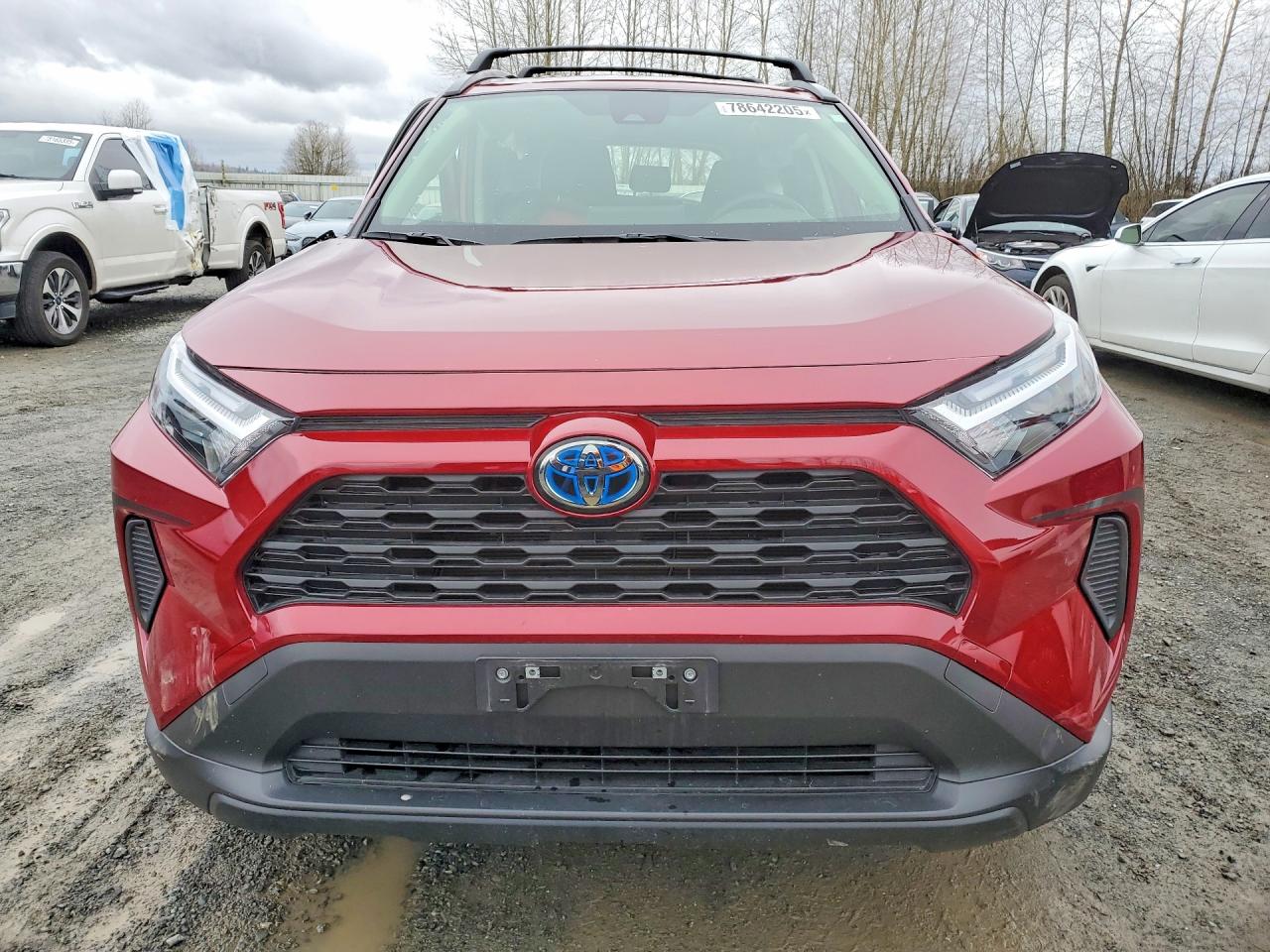 2024 TOYOTA RAV4 XLE photo 5