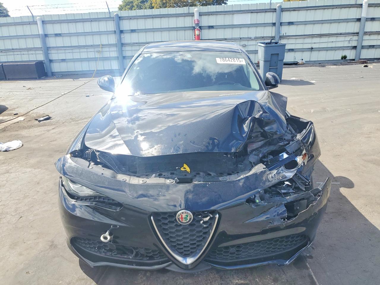 2020 ALFA ROMEO GIULIA photo 9