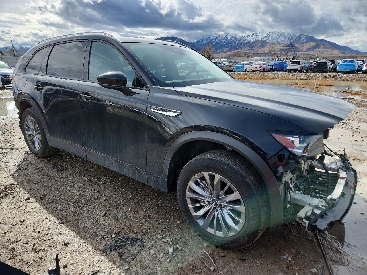 2025 MAZDA CX-90 PREFERRED photo 7