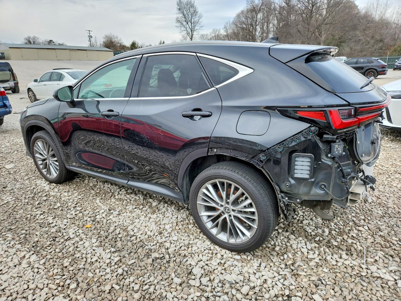 2022 LEXUS NX 350H photo 2