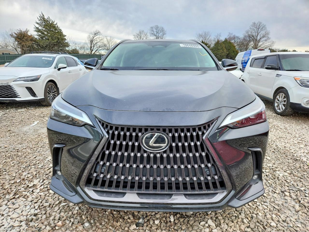 2022 LEXUS NX 350H photo 5