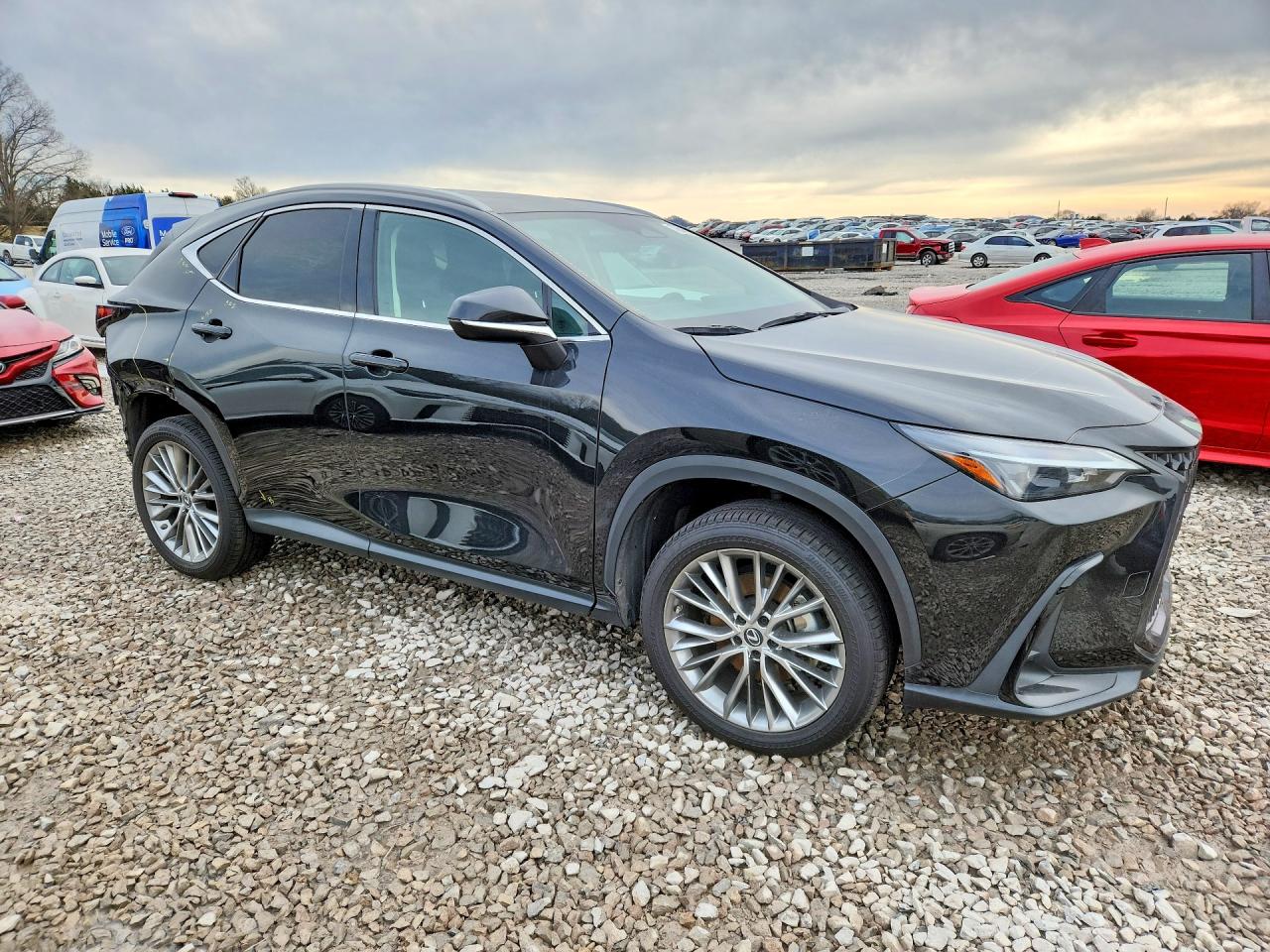 2022 LEXUS NX 350H photo 4