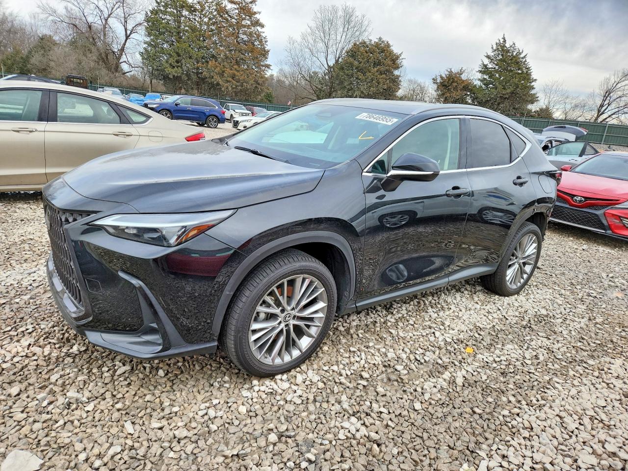 2022 LEXUS NX