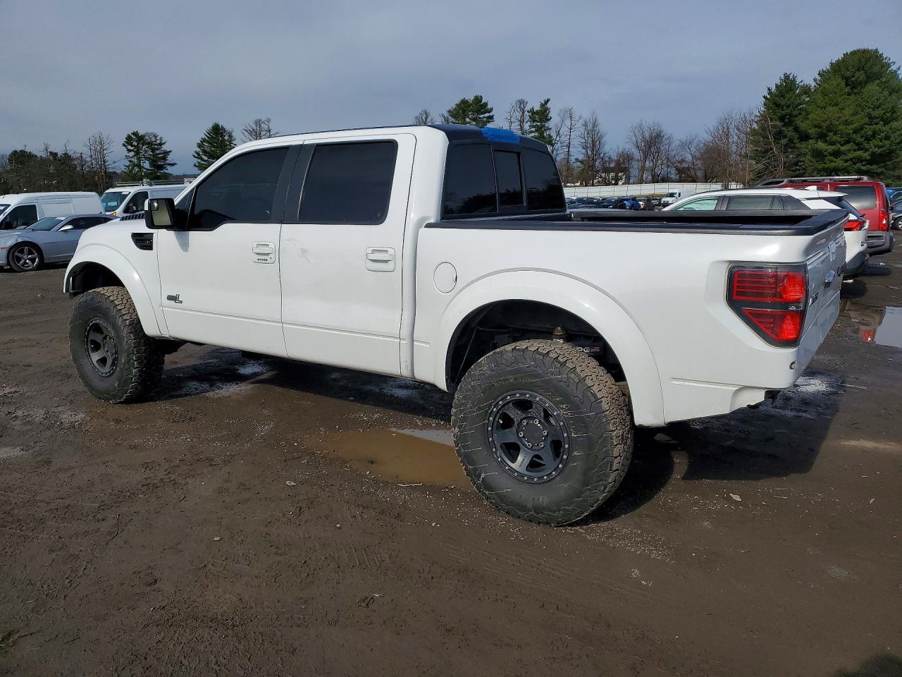 2014 FORD F150 SVT RAPTOR photo 2