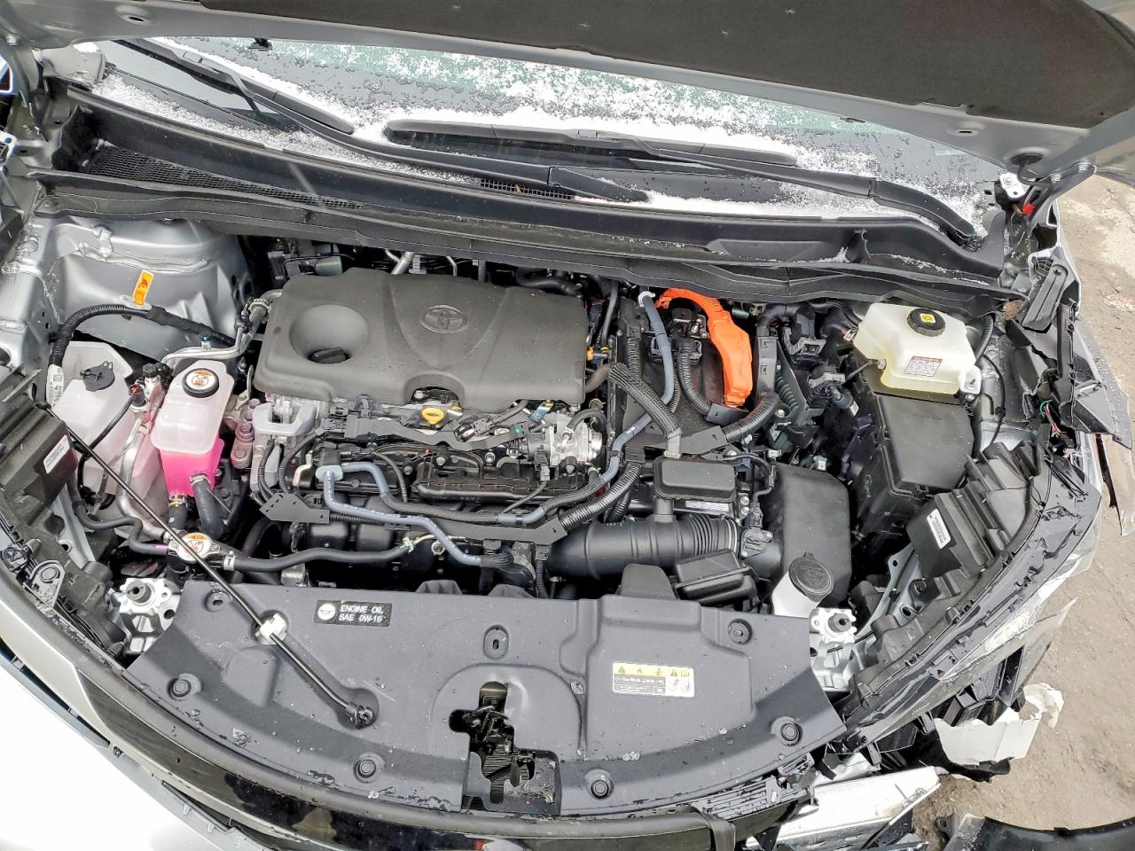2025 TOYOTA SIENNA PLATINUM 7-PASSENGER photo 23