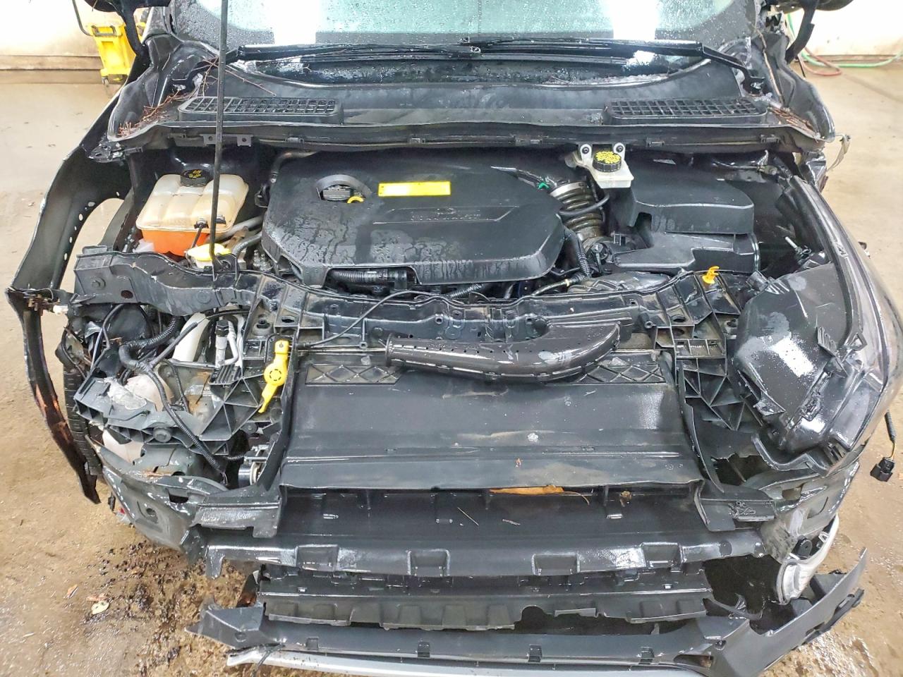2015 FORD ESCAPE SE photo 12