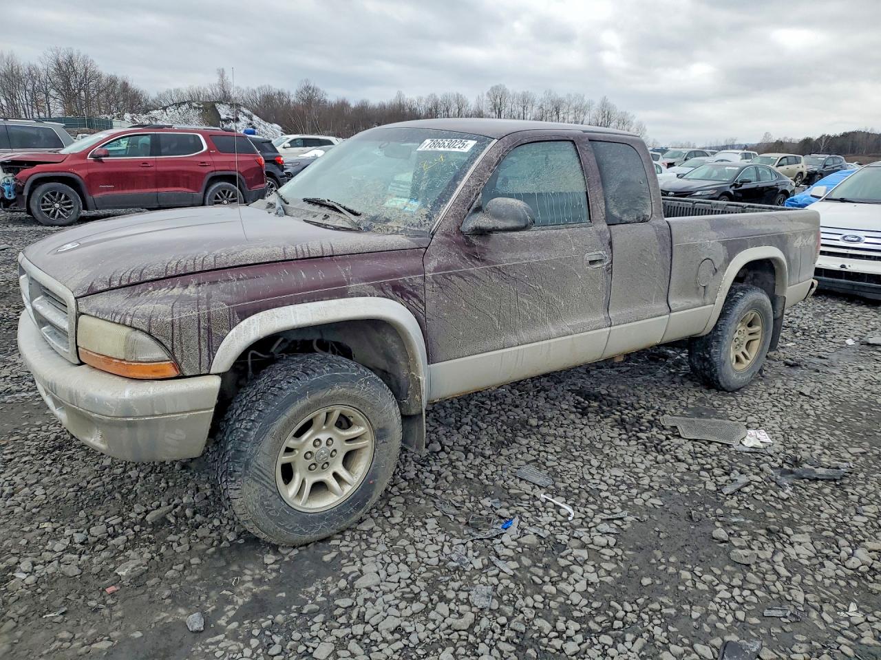 2004 DODGE DAKOTA