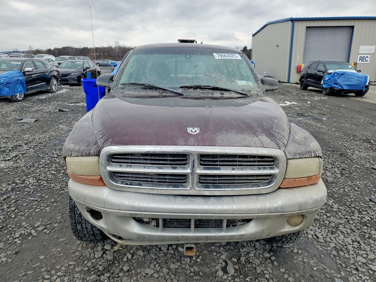 2004 DODGE DAKOTA SLT photo 9