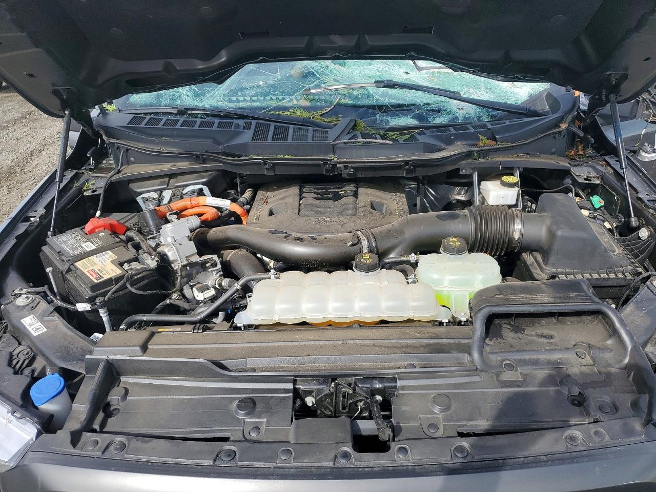 2023 FORD F150 SUPERCREW photo 31