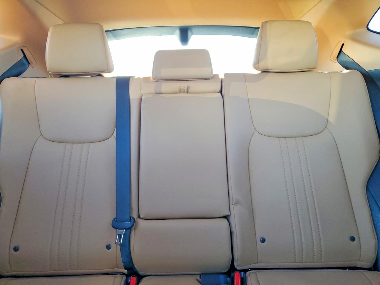 2024 LEXUS NX 350H BASE photo 10