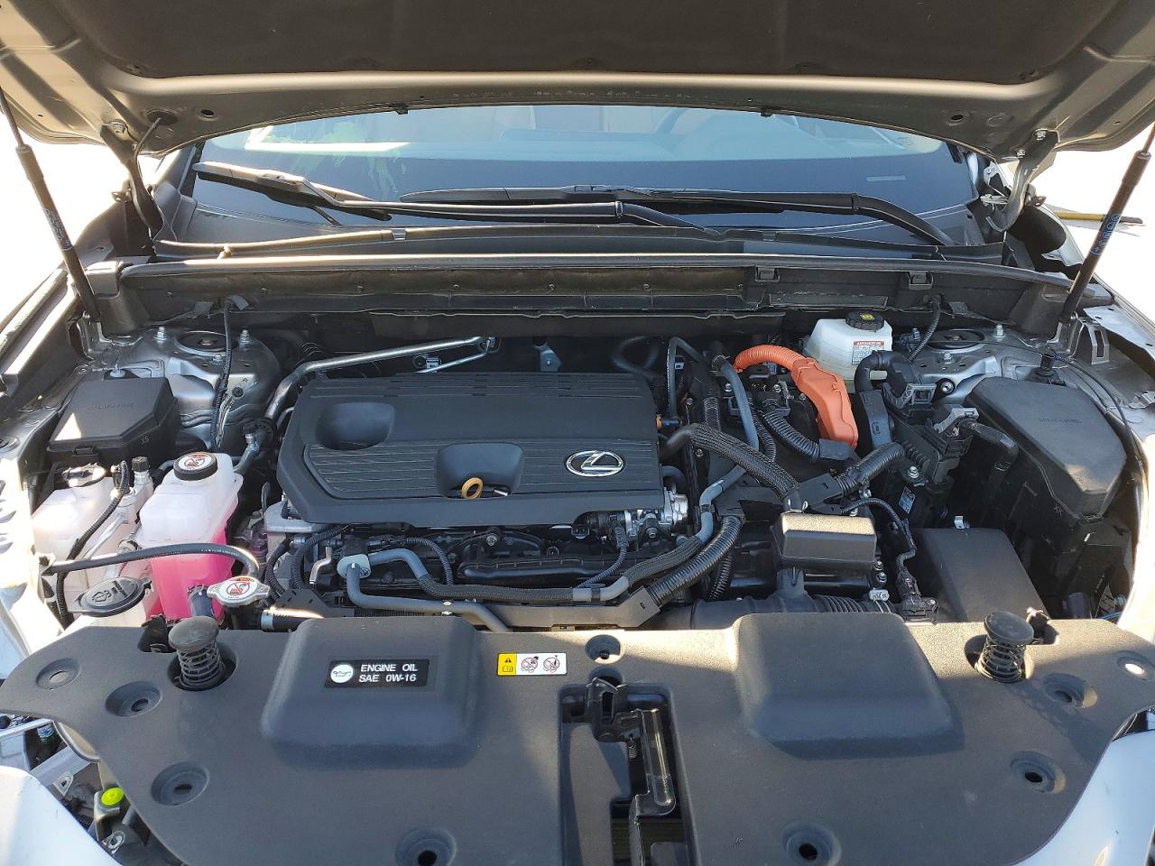 2024 LEXUS NX 350H BASE photo 12