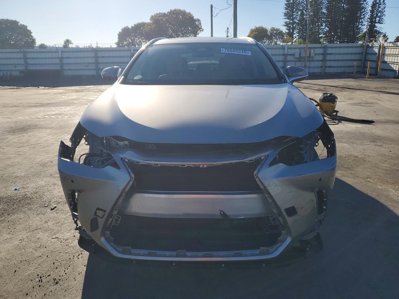 2024 LEXUS NX 350H BASE photo 5