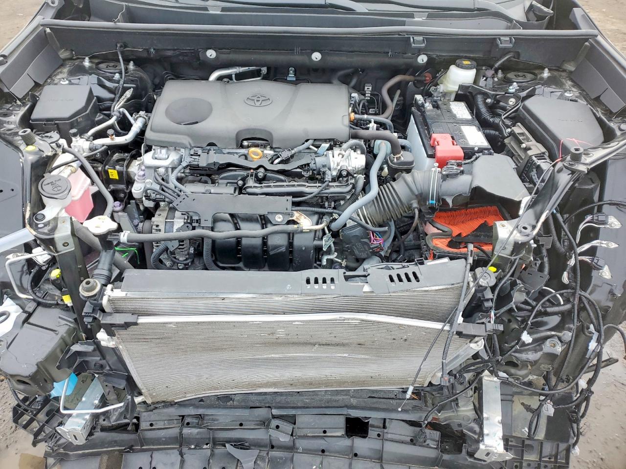 2024 TOYOTA RAV4 XLE photo 12