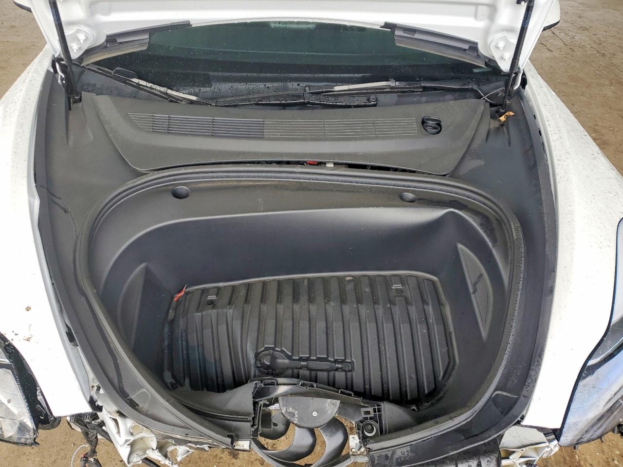 2023 TESLA MODEL 3 photo 21