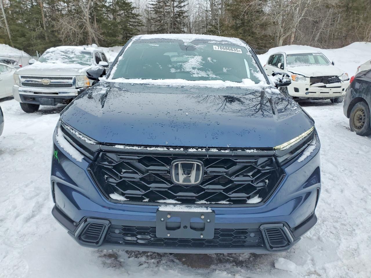 2024 HONDA CR-V EXL photo 5