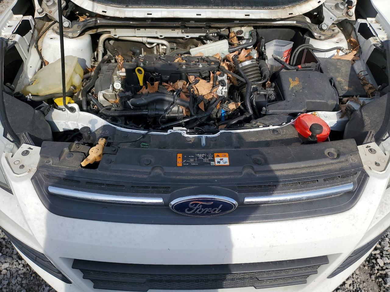 2013 FORD ESCAPE SE photo 34
