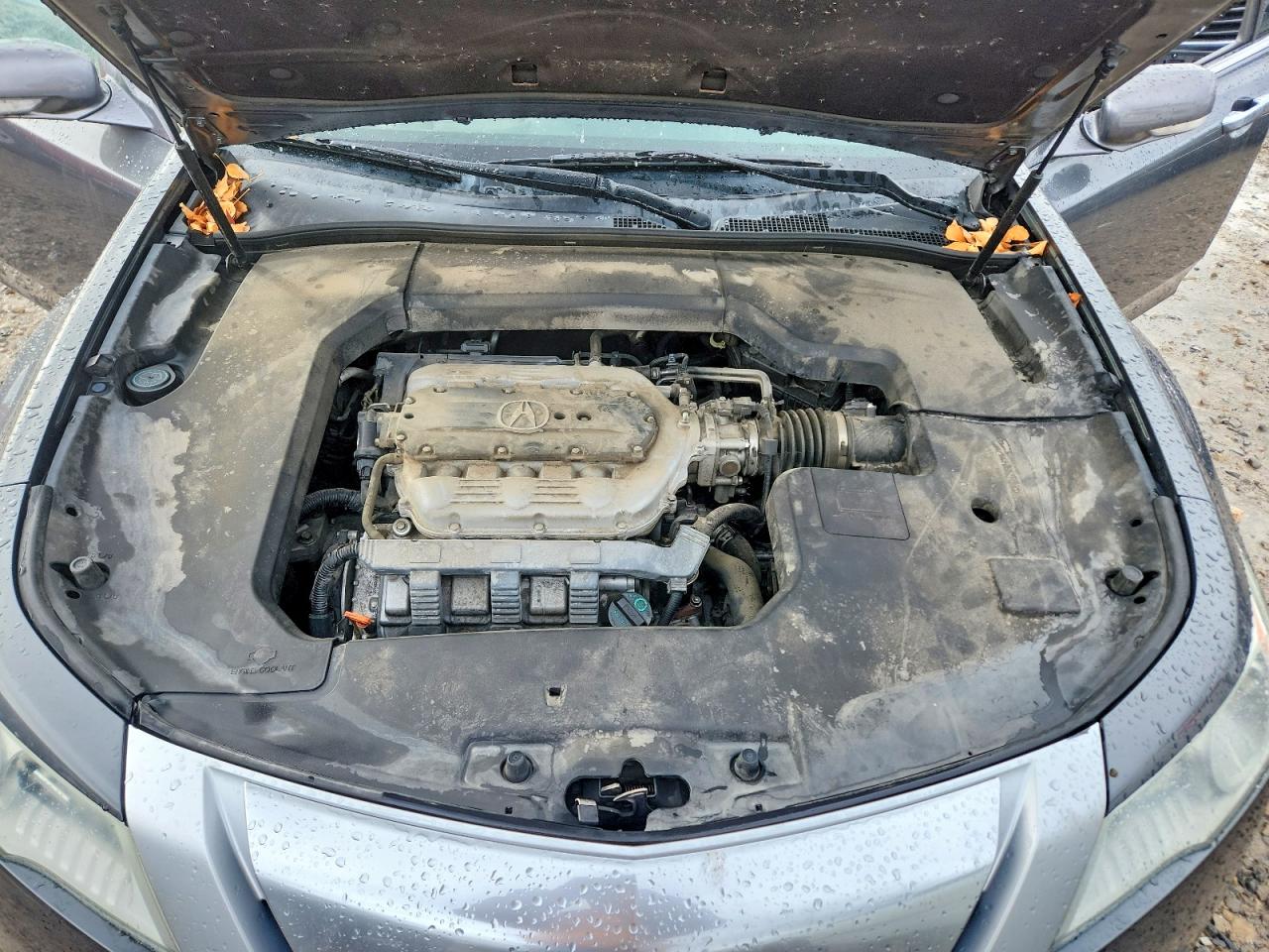 2010 ACURA TL photo 11