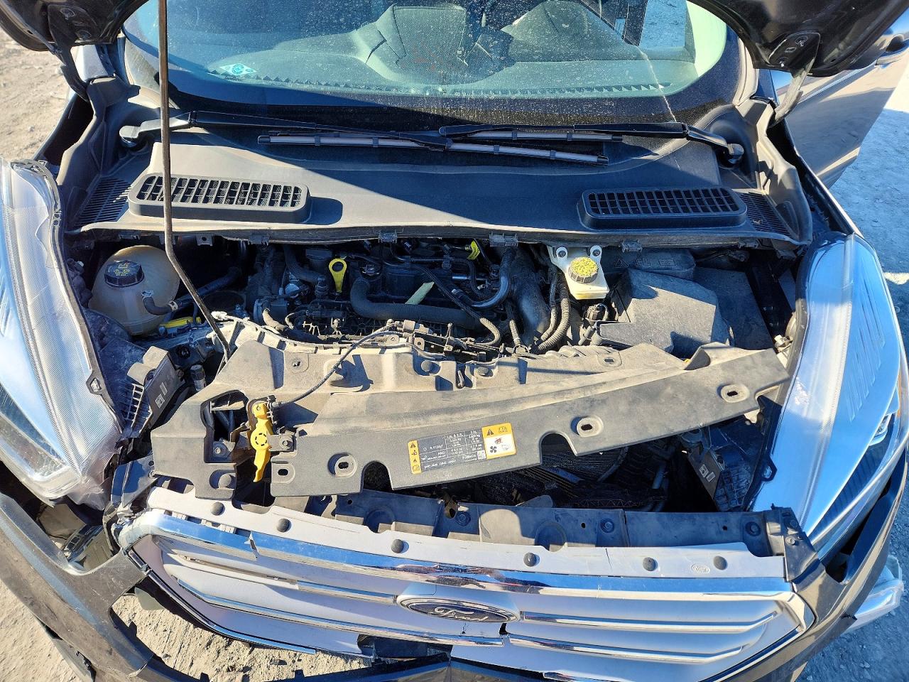 2019 FORD ESCAPE SEL photo 12