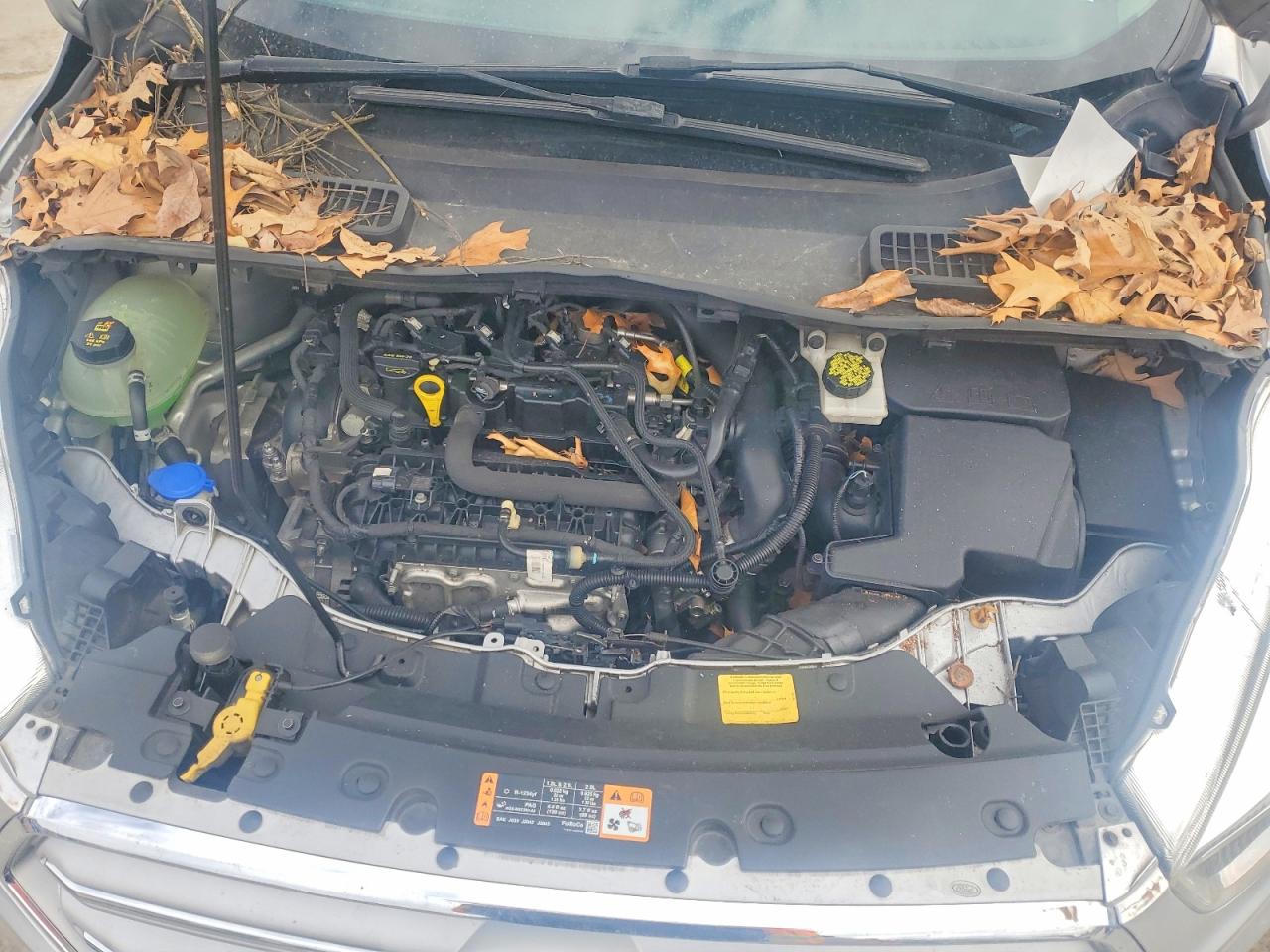 2019 FORD ESCAPE SE photo 34
