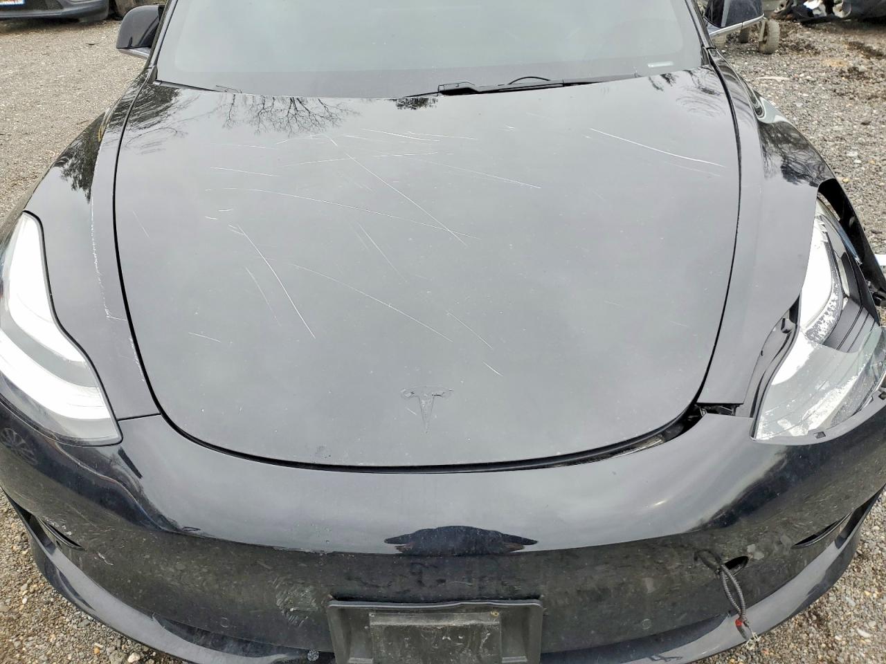 2019 TESLA MODEL 3 photo 21