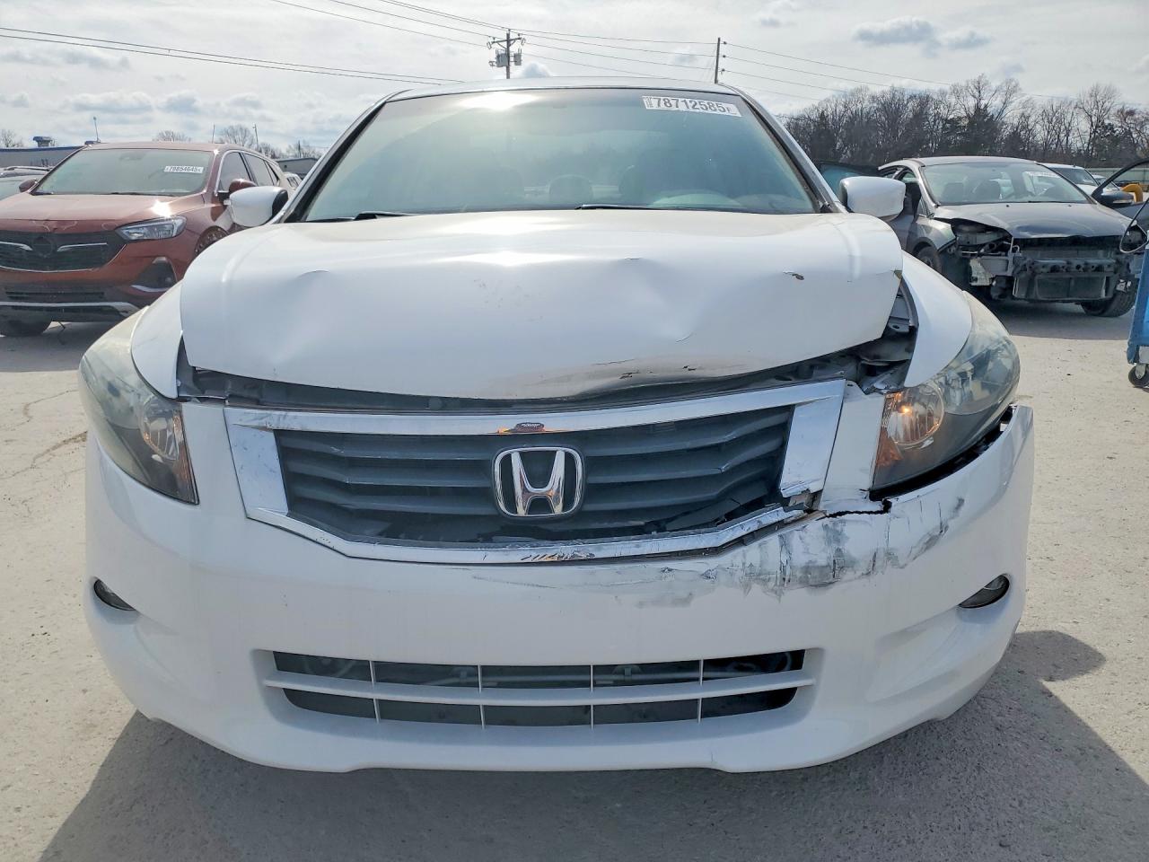 2010 HONDA ACCORD EXL photo 5