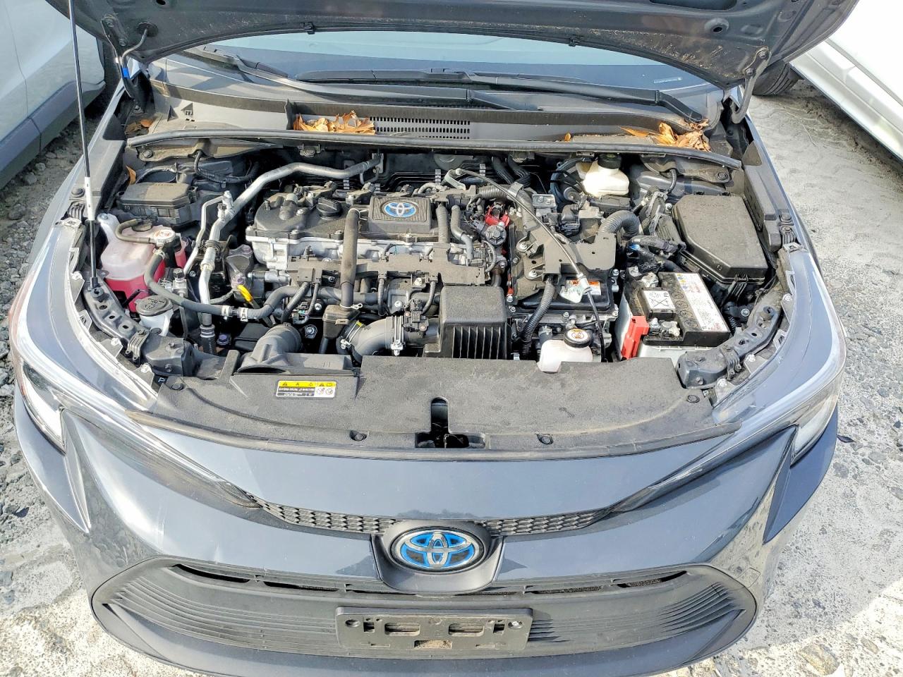 2023 TOYOTA COROLLA LE photo 41