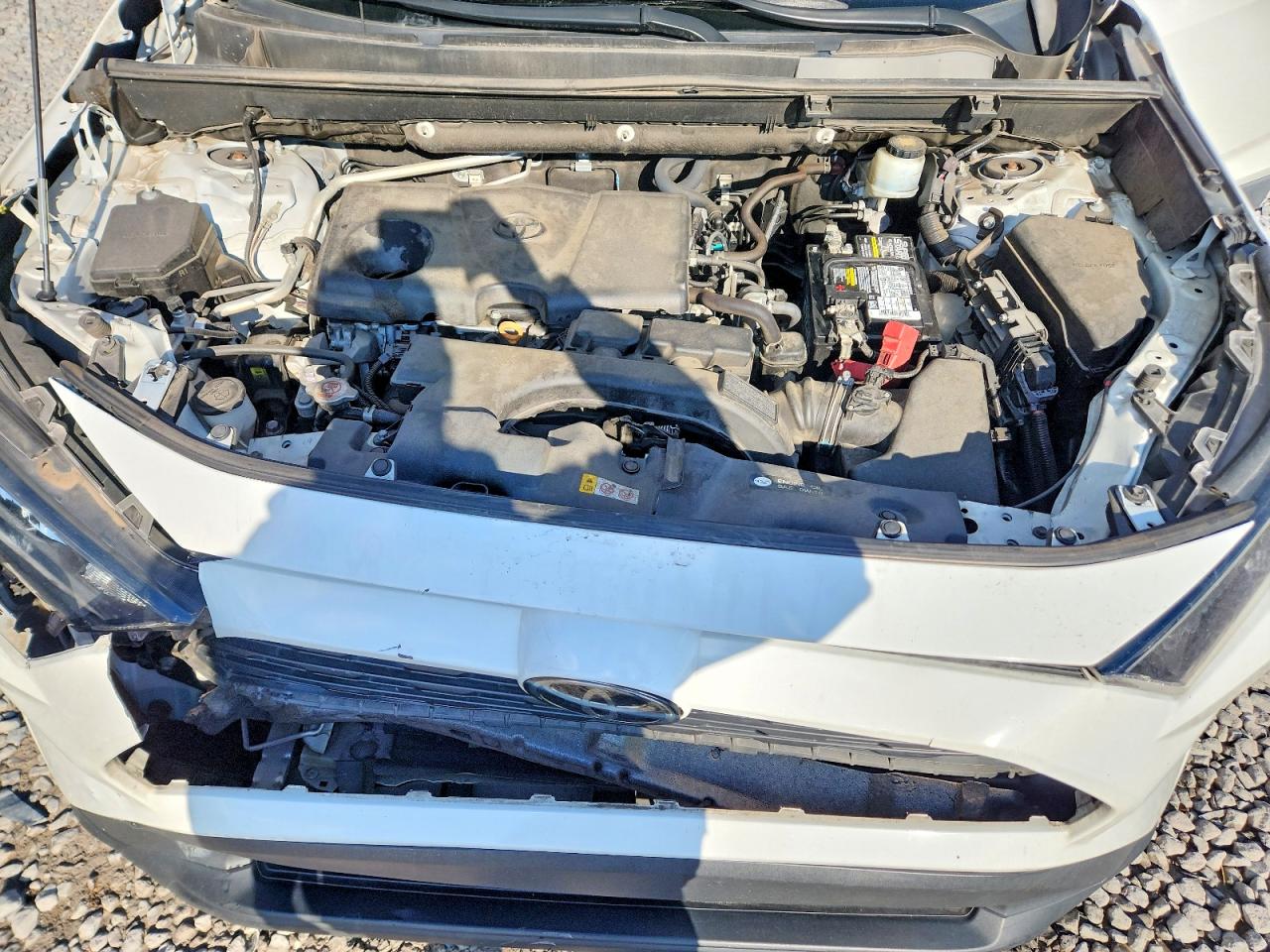 2019 TOYOTA RAV4 LE photo 12