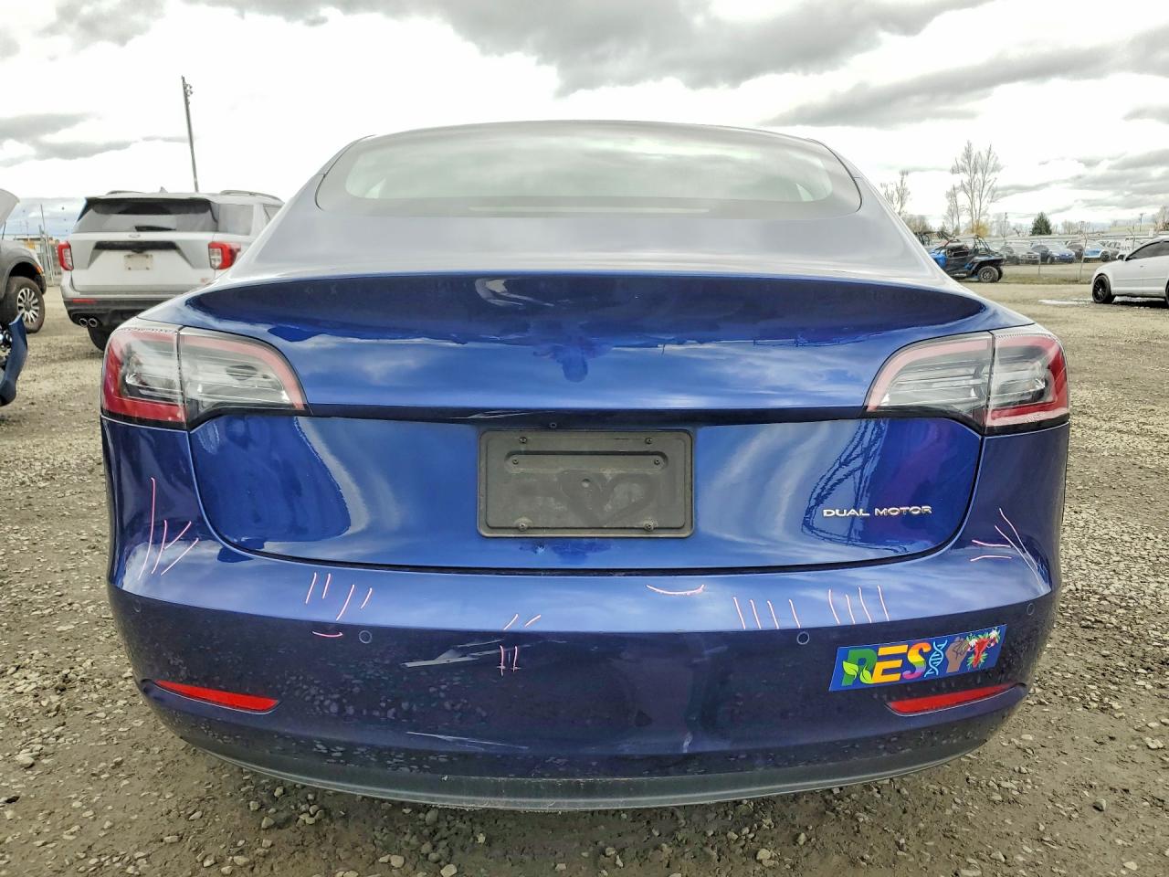 2019 TESLA MODEL 3 photo 6