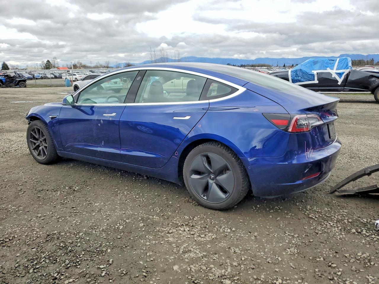 2019 TESLA MODEL 3 photo 2