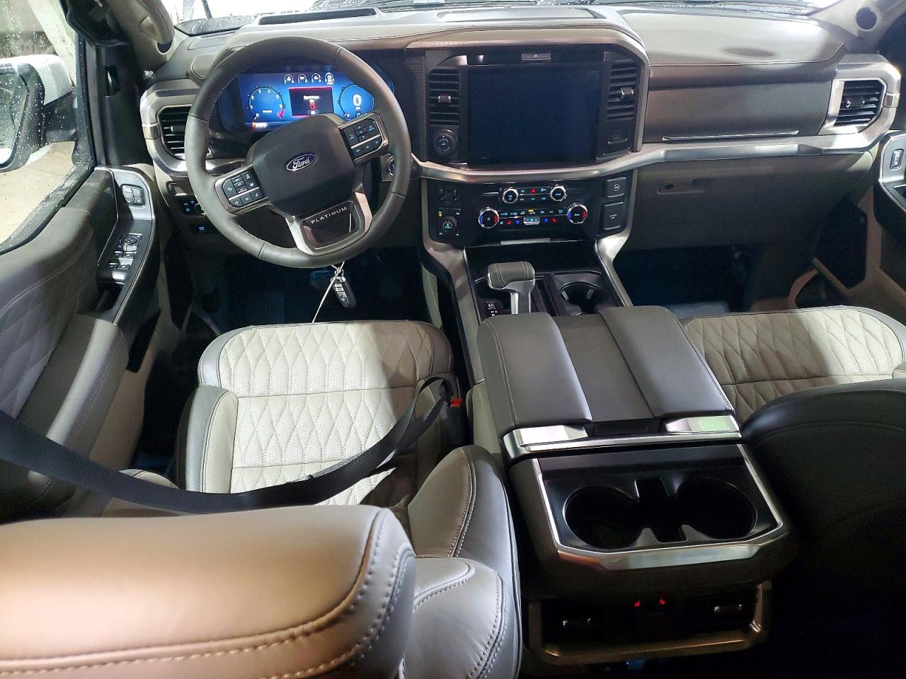 2025 FORD F150 PLATINUM photo 8