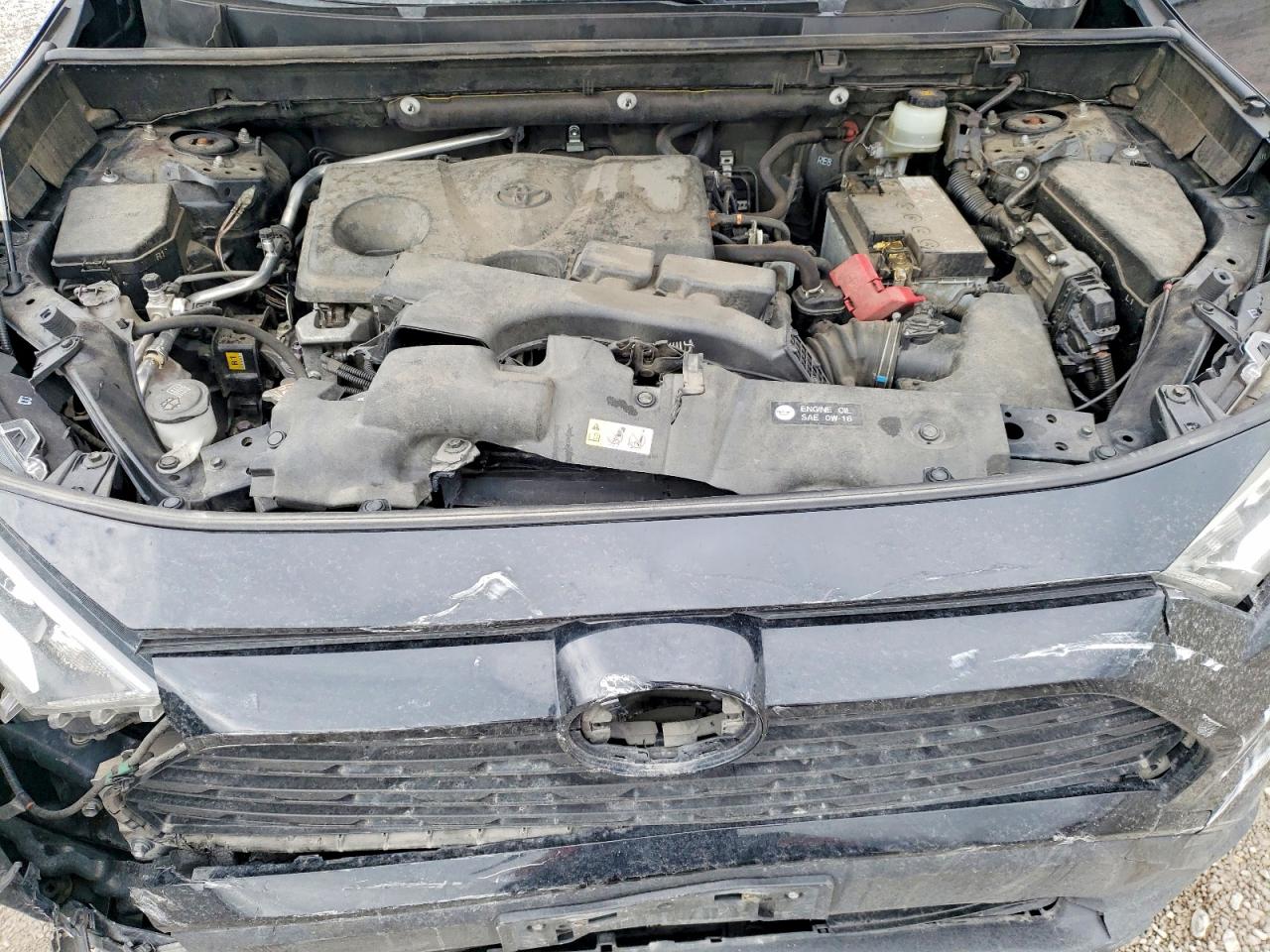 2019 TOYOTA RAV4 XLE photo 12