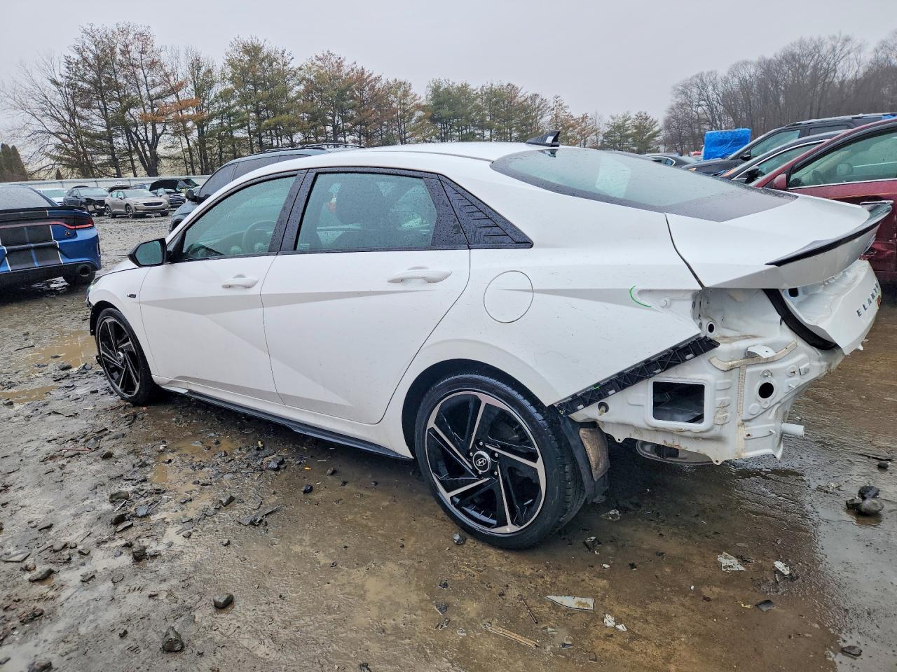 2023 HYUNDAI ELANTRA N LINE photo 3
