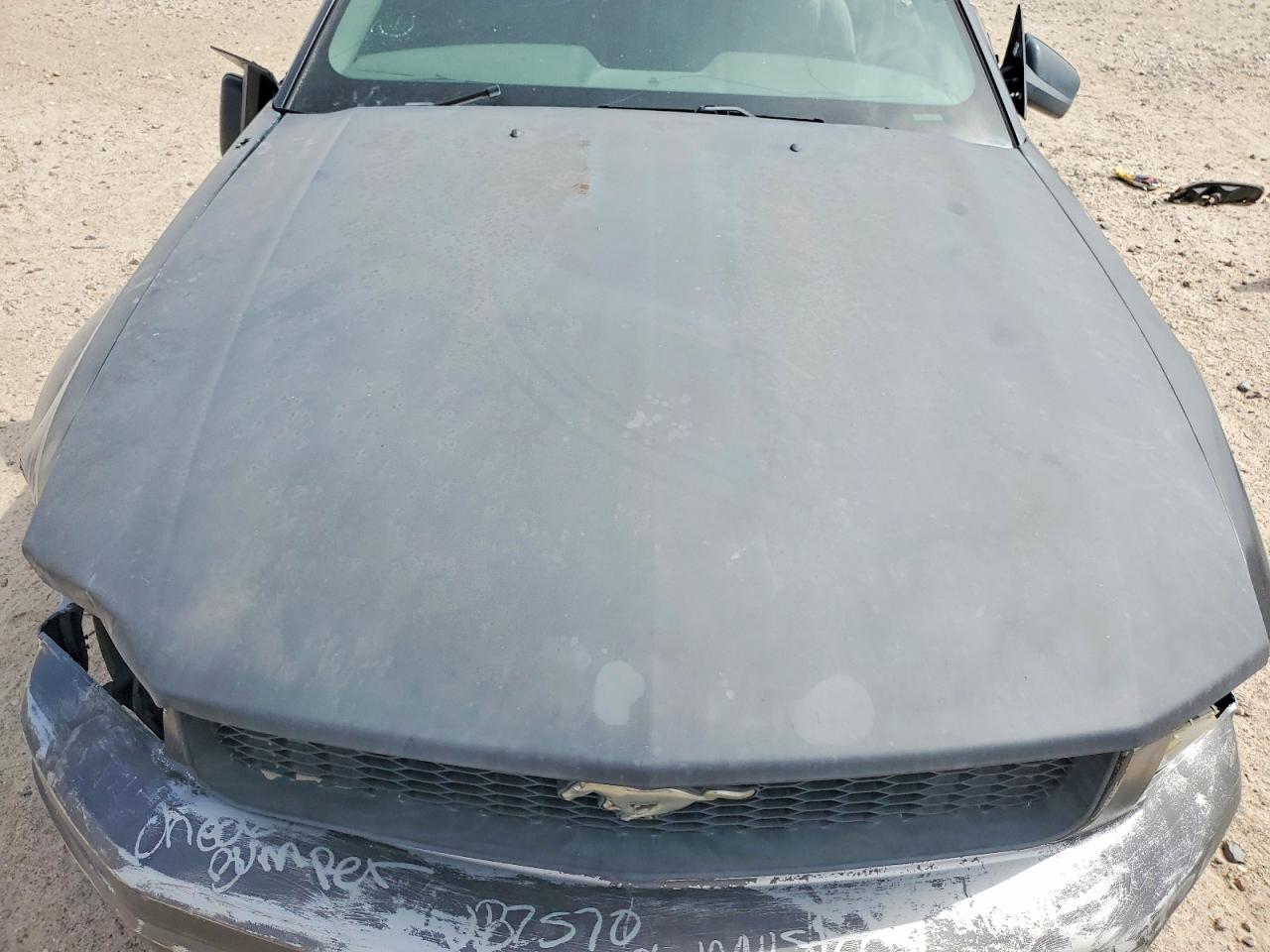 2007 FORD MUSTANG photo 11
