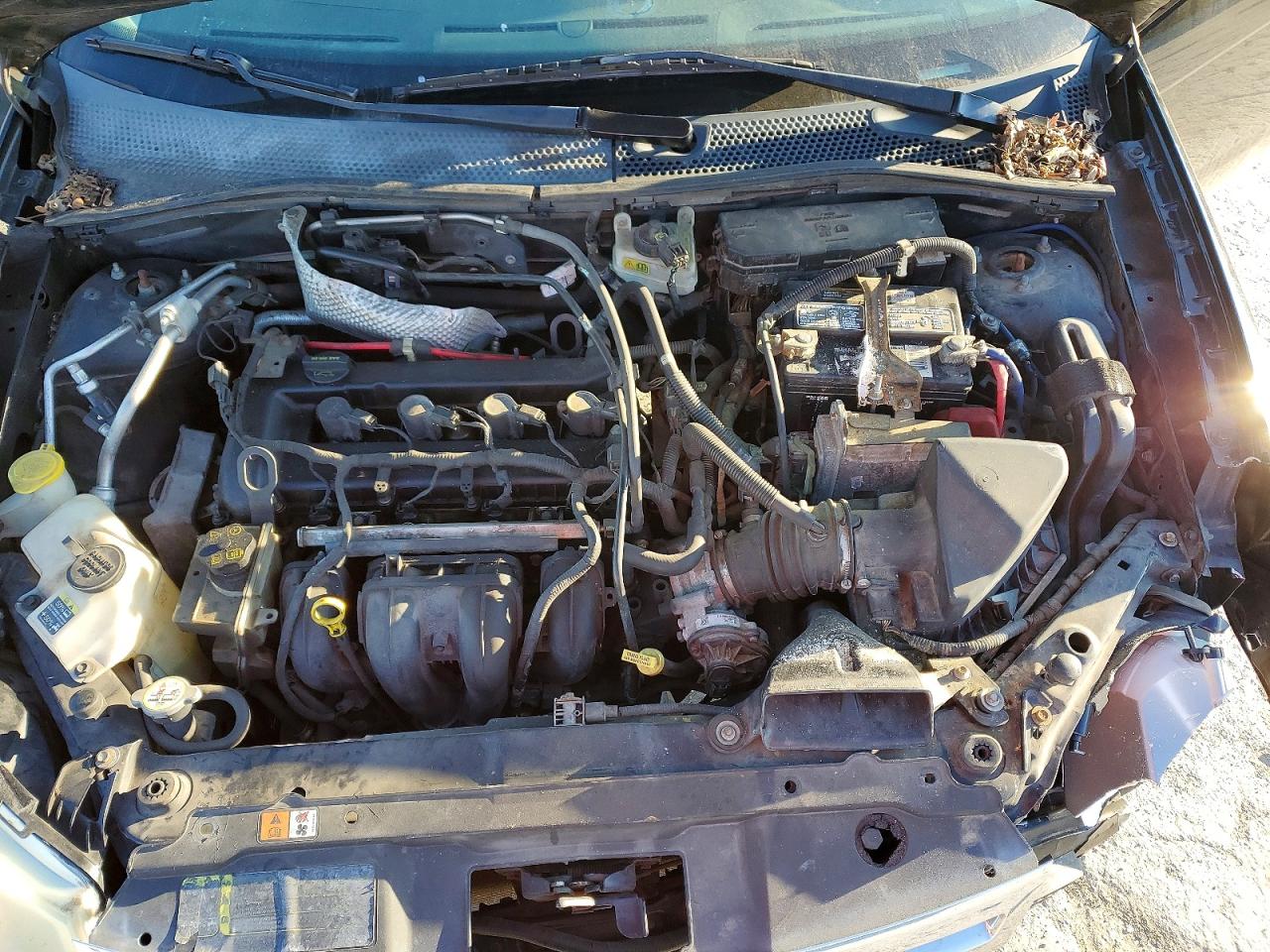 2009 FORD FOCUS SE photo 21