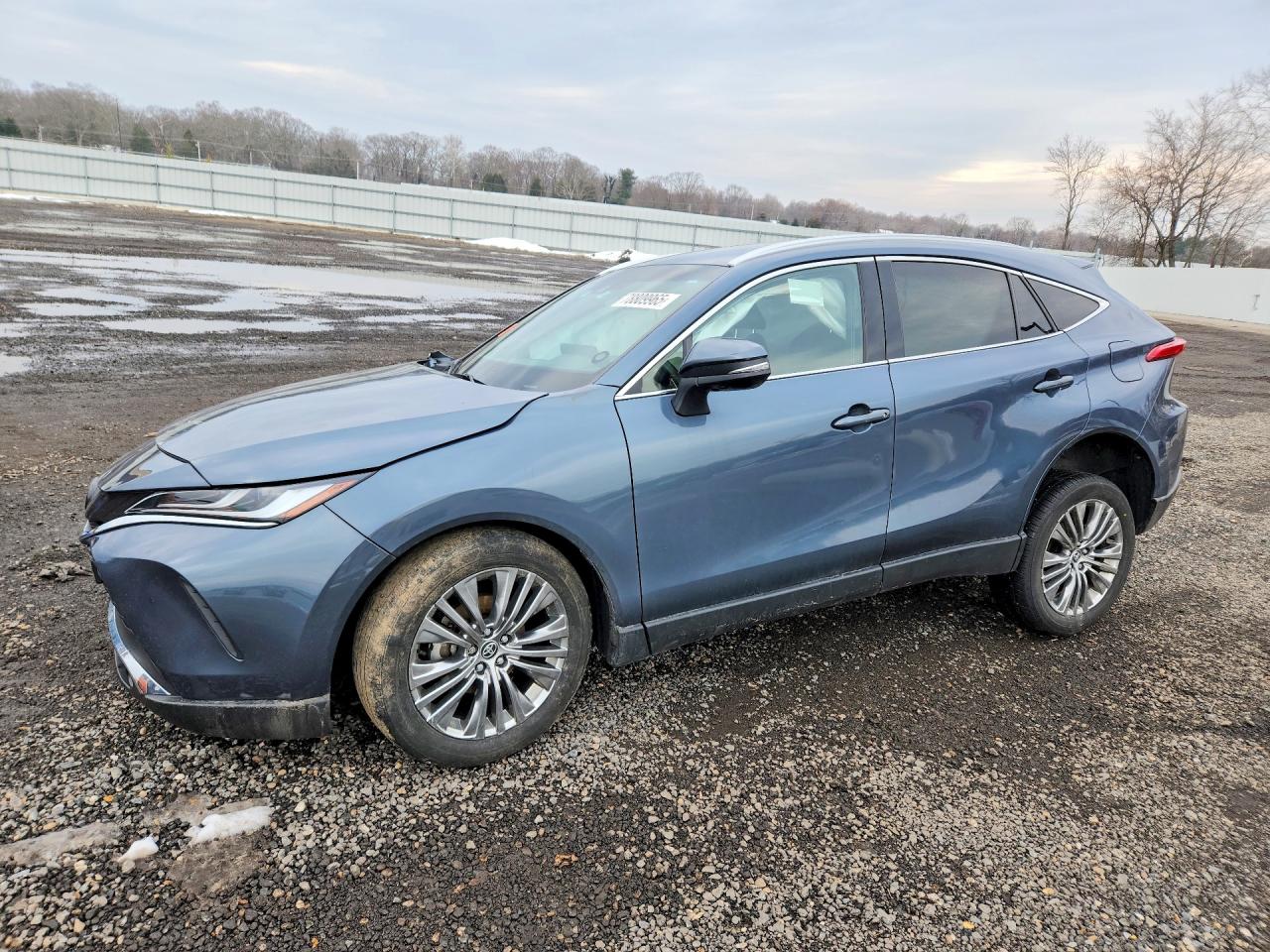 2024 TOYOTA VENZA