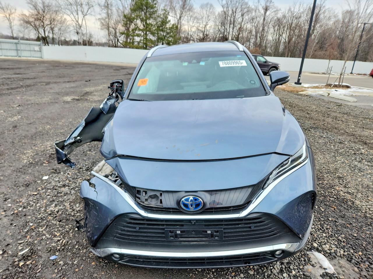 2024 TOYOTA VENZA LIMITED photo 5
