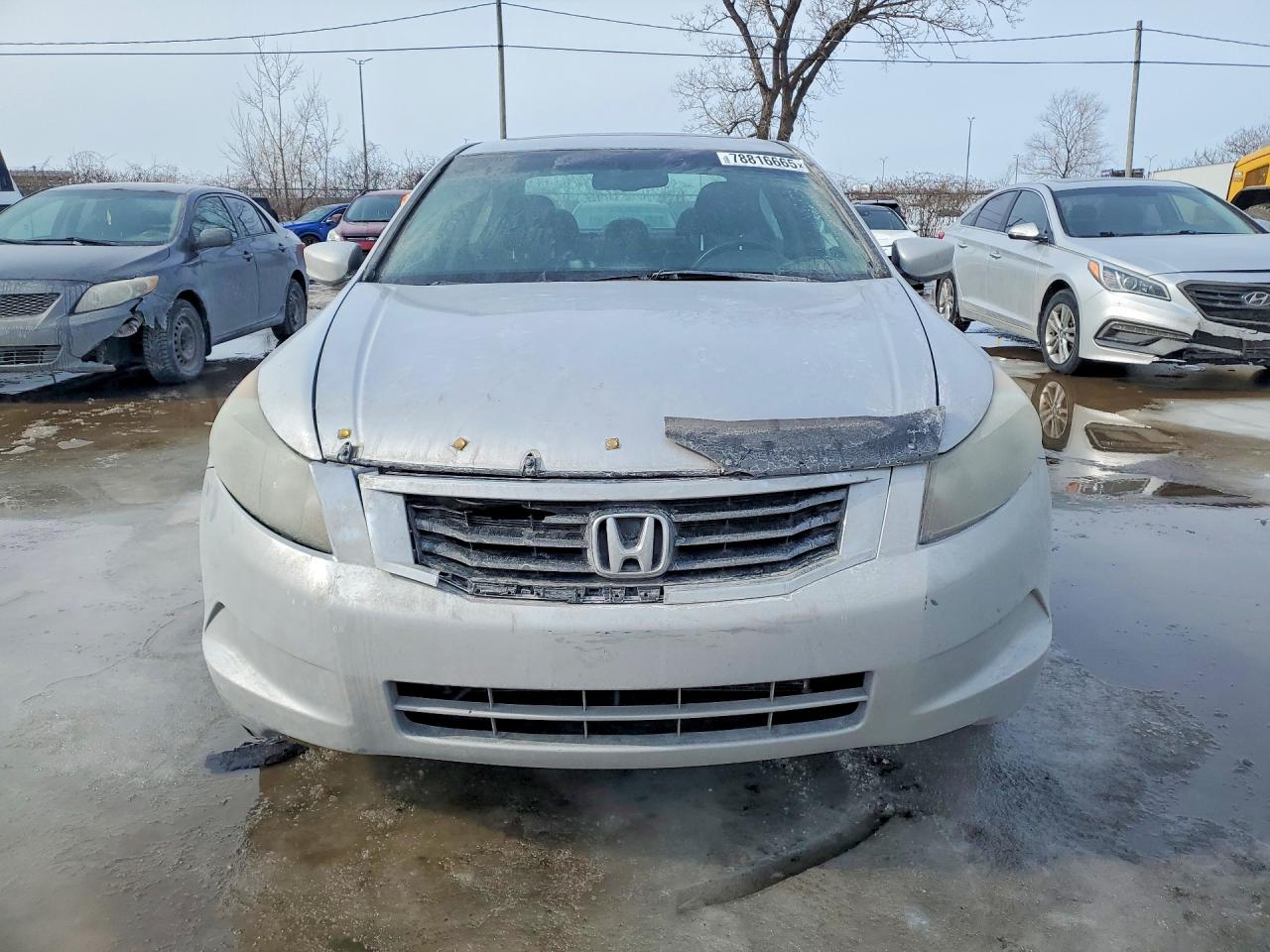 2010 HONDA ACCORD EXL photo 5
