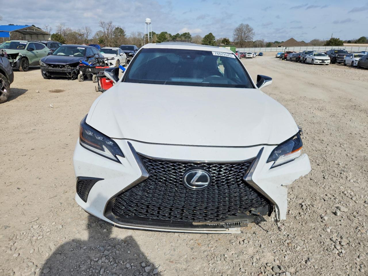 2019 LEXUS ES 350 photo 5
